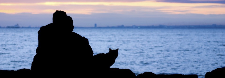 In-Home Euthanasia…