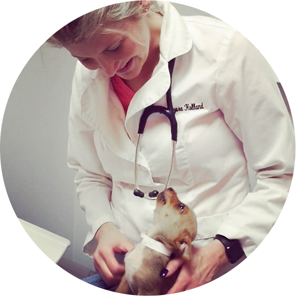 Azure Holland Mobile Veterinarian Pet Euthanasia Pet Hospice