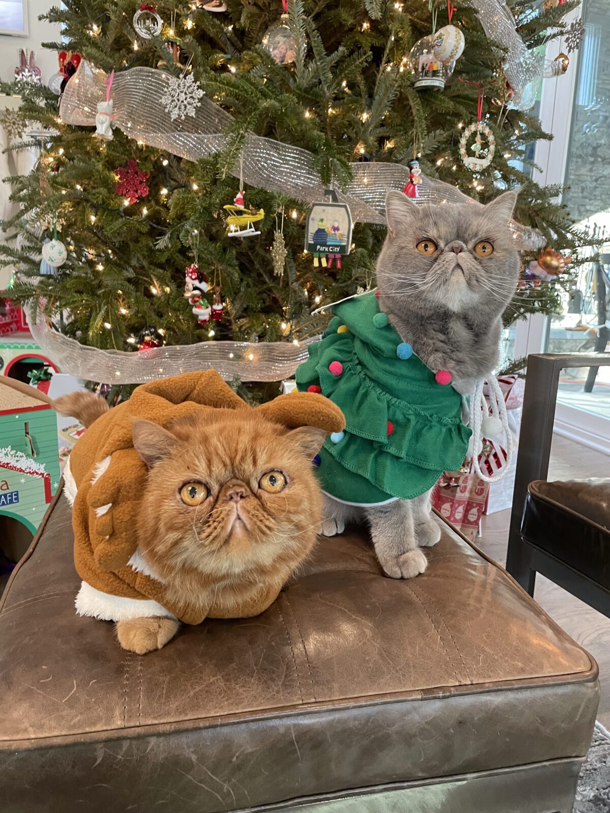 The 12 Days of Togetherness