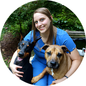 dr. abby lang with dogs in a garden park