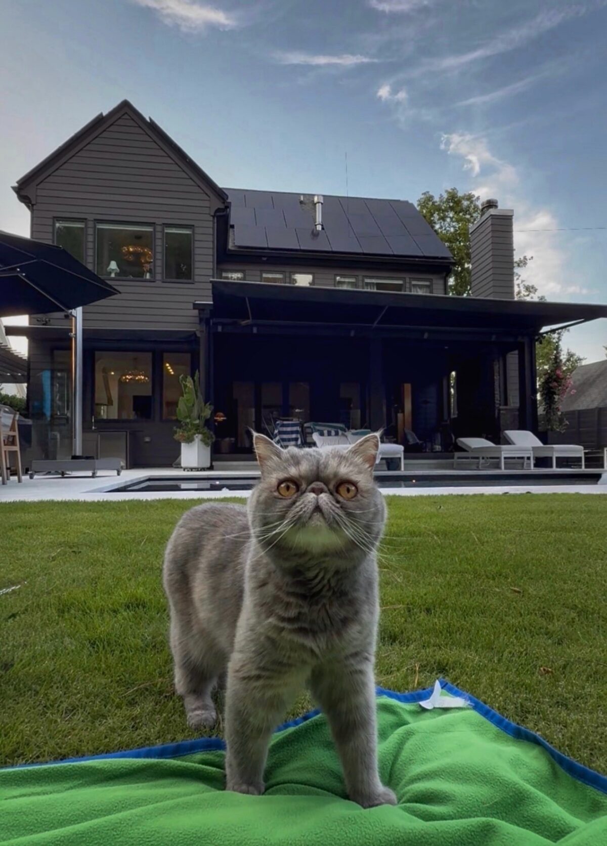 A Gentle Spring Reminder