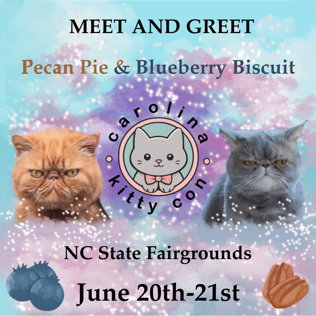 June Mews – Preparing for Departure!